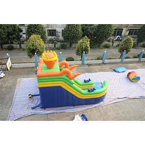 Small Toy Clearance Names Float Toys Sale Giant Water Slides Manufacturer Boat Colorful Octopus Inflatable Slide Price For Sale-8x6x6m