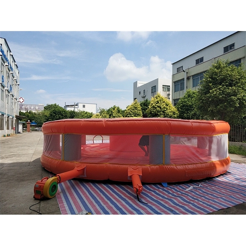 Whac-A-Mole poke a mole Whack a Mole Whac a Mole beat them all game inflatable sports