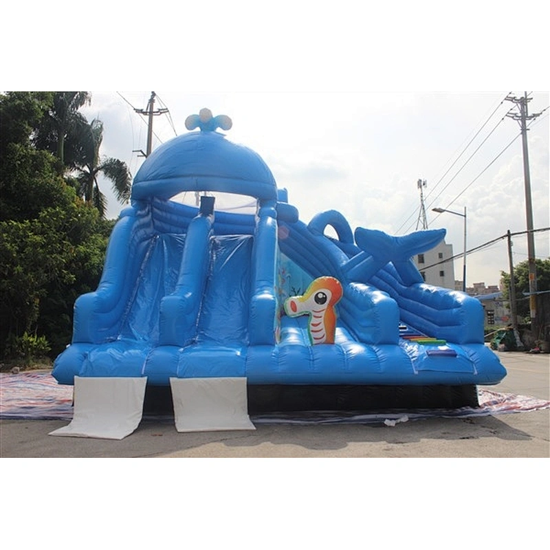 inflatable whale water slide