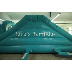 inflatable water slide-10x2.6m