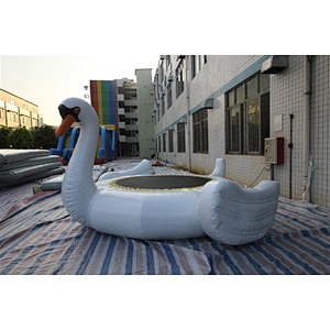 water swan-4x4m