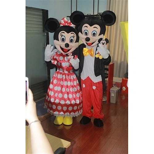 Mickey and Minnie costume