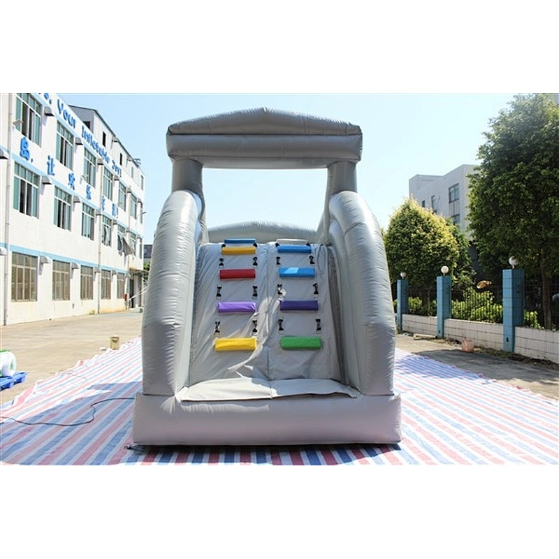 inflatable water slide for sale-6x2.5M
