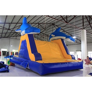 whale slide-6x3x4M
