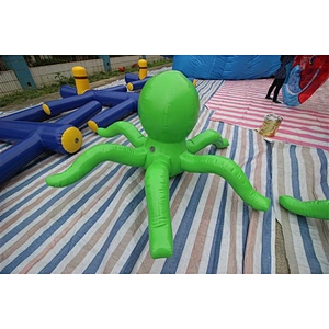 octopus-2.2m