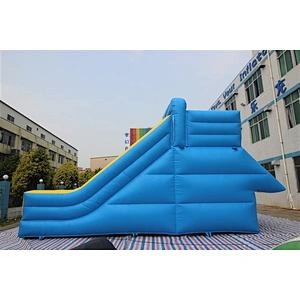 blue basic slide Inflatable Slide-9x7.6x5.8M