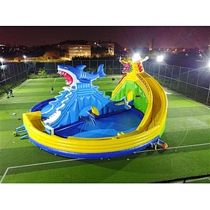 shark inflatable water slide with pool-23.5x21.5M