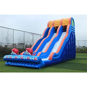 two slides Inflatable Slide-10.67x4.27x6.86M