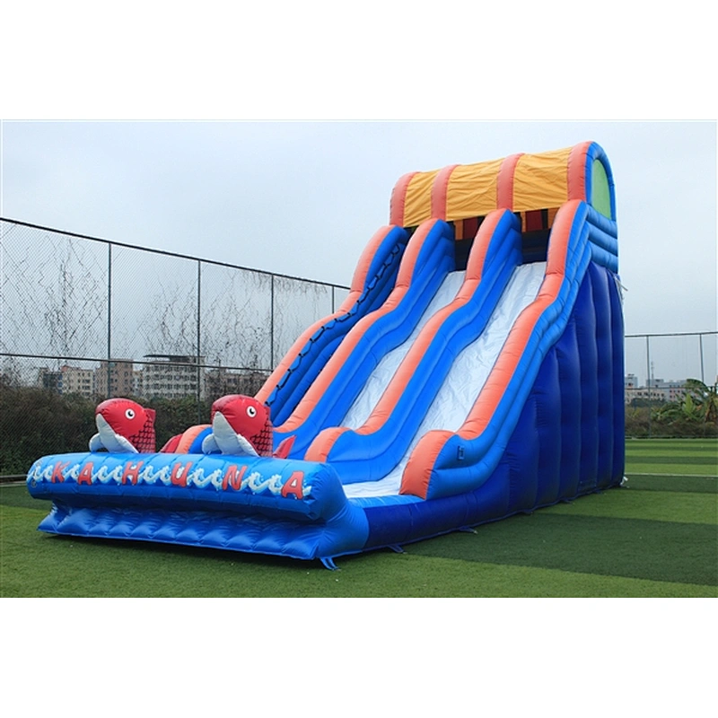 two slides Inflatable Slide-10.67x4.27x6.86M