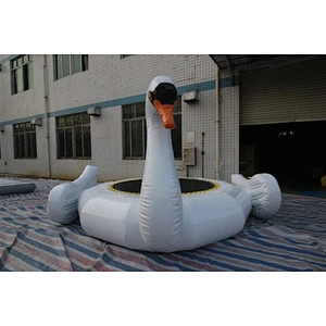 water swan-4x4m