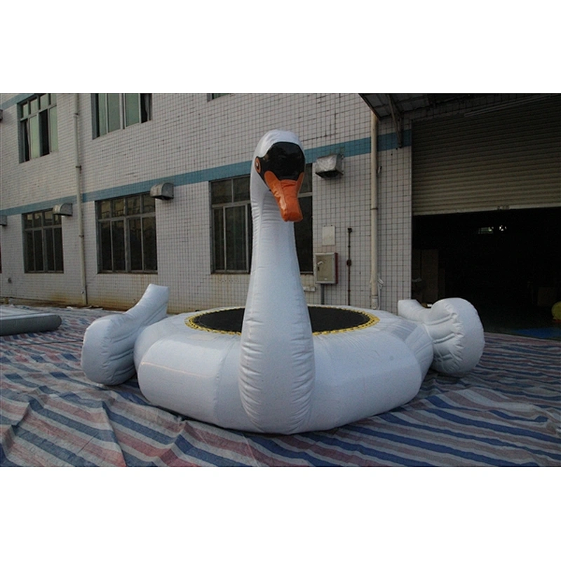 water swan-4x4m