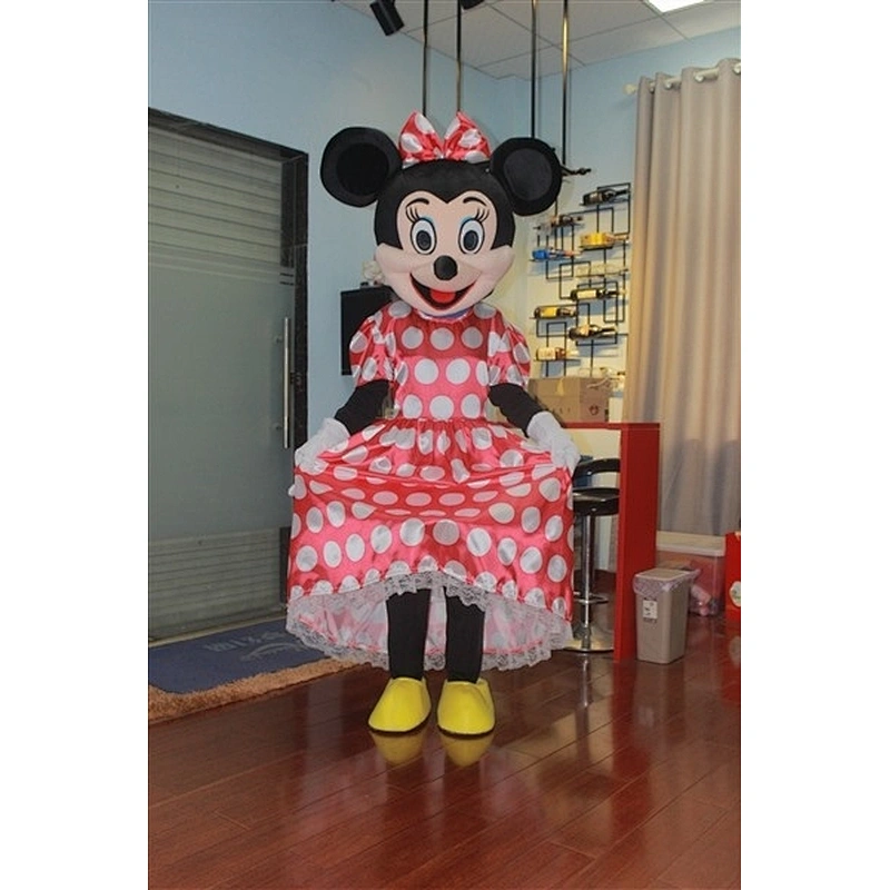 Mickey and Minnie costume