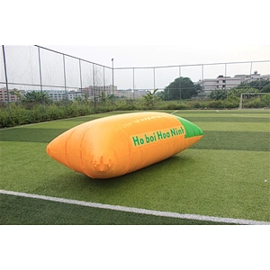 inflatable obstacle-22x6m