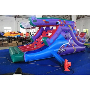 dragon climbing for kids