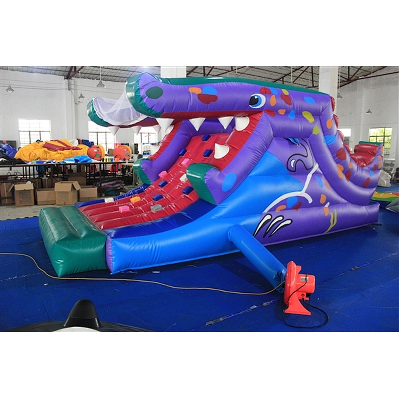 dragon climbing for kids