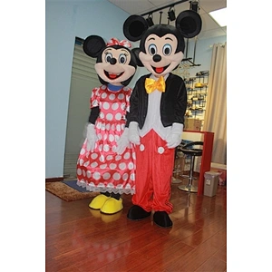 Mickey and Minnie costume