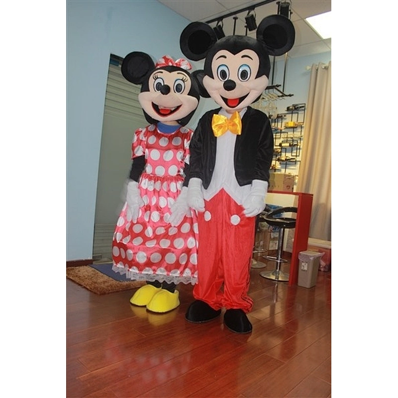 Mickey and Minnie costume