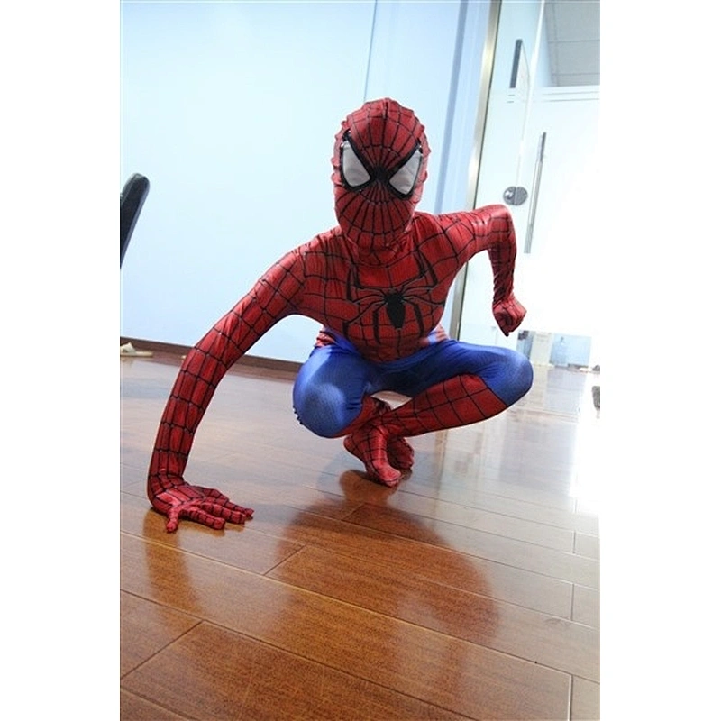 Spiderman costume