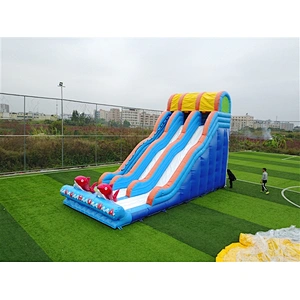 two slides Inflatable Slide-10.67x4.27x6.86M