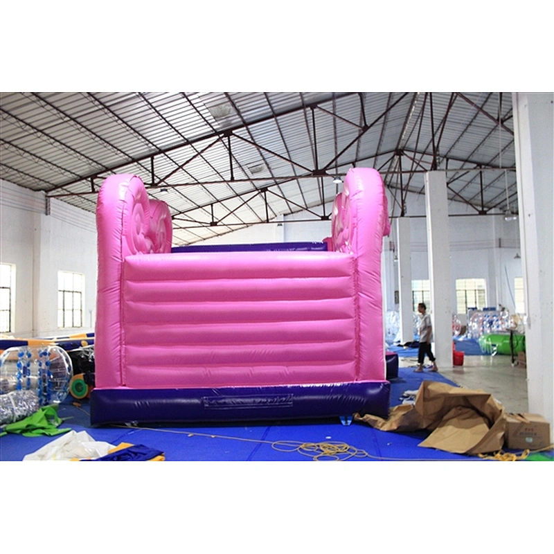 minnie jumping castle jumping bouncer Inflatable Bouncer-5.5x5M