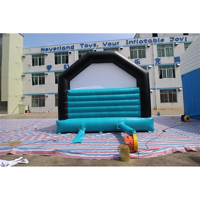 panda jumping castle jumping bouncer  Inflatable Bouncer-4.7x4.7M