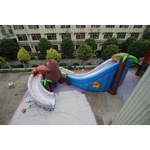 Water Slide For Adult Large Swimming Pool Water Park Pop For Sale-30x30x7m