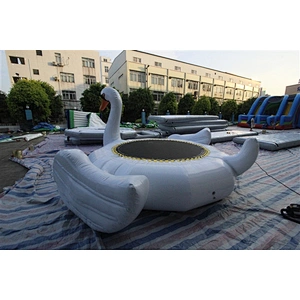water swan-4x4m
