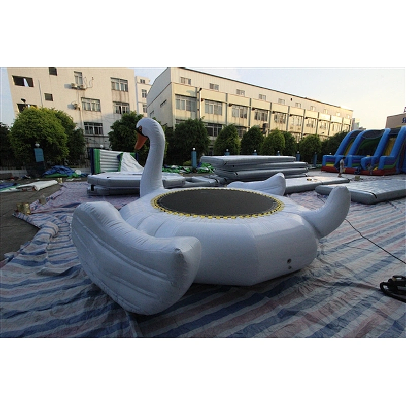 water swan-4x4m