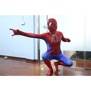 Spiderman costume