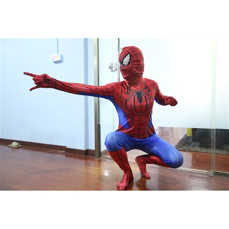 Spiderman costume