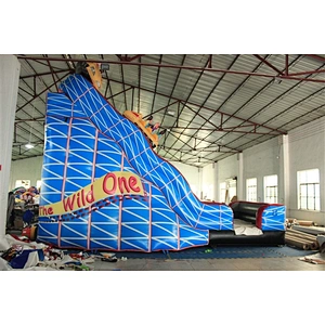 the wild one Inflatable Slide-7.5x5x6.5M