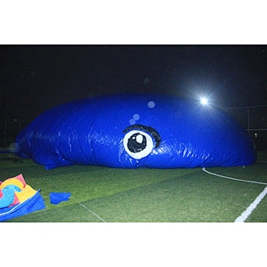 giant inflatable whale inflatable tent large inflatable igloo tent for event-32x17x8m