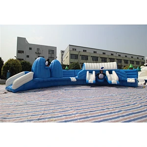 Water Slide For Adult Large Swimming Pool Water Park Pop For Sale-21.5x21.5m