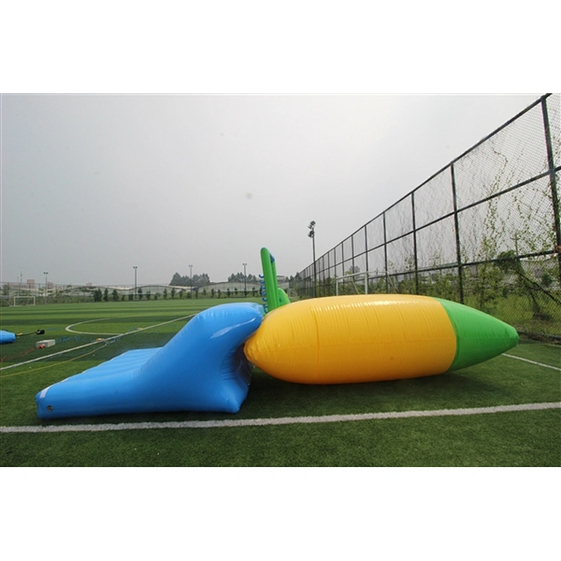 inflatable water obstacle-23x25m