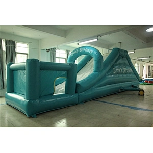 inflatable water slide-10x2.6m