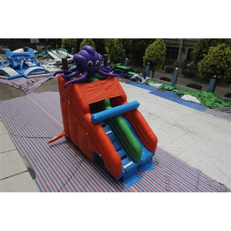 The hot sale octopuses giant inflatable water slide which is inflatable water slide for kids-5x3m