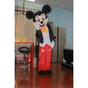 Mickey and Minnie costume