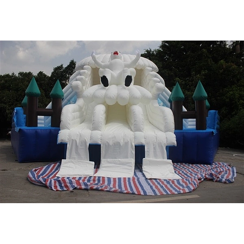 inflatable water slide