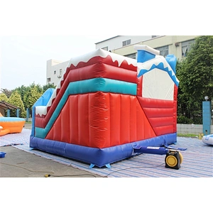 The Frozen bouncer-4.8x5m