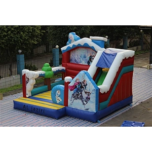 The Frozen bouncer-4.8x5m