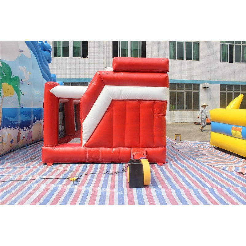 customized bouncer-6x3x2.5m
