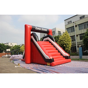 inflatable slide-9.5x5.5x6.5m