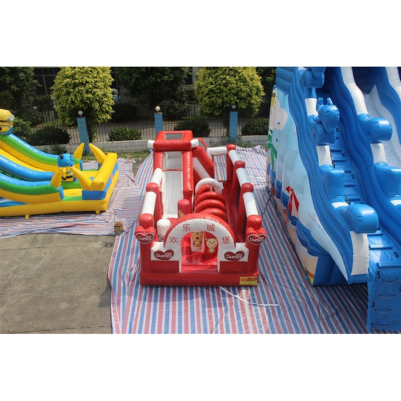 customized bouncer-6x3x2.5m