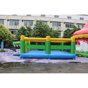inflatable crocodile bouncer-7.6x4.8m