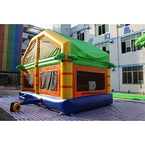 lion combo-6x4x4.5m