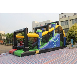 Time racing bungee jumping-11.5x2.8x5.5m