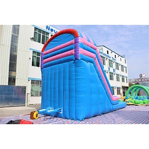 inflatable water slide-8x4x6m