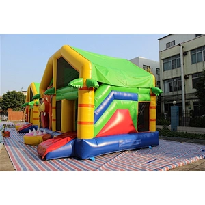 lion combo-6x4x4.5m