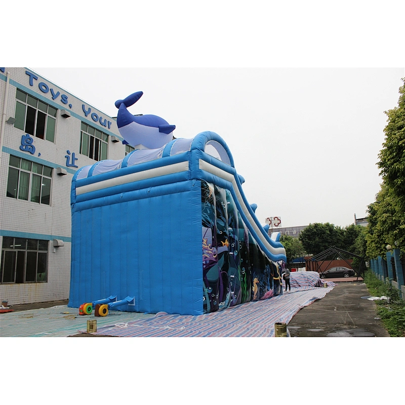 inflatable cute shark water slide-10x8x8m