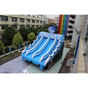 inflatable cute shark water slide-10x8x8m